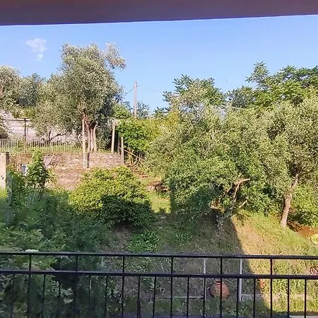 La Cascina Tra Gli Ulivi *